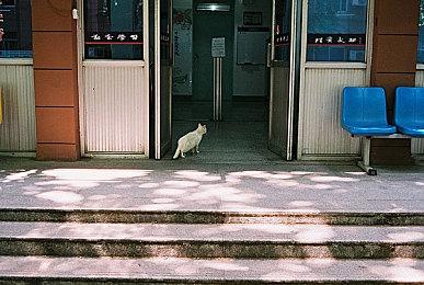 《守望先锋2》Twitch观看破纪录 同时观看超150万