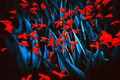 《赛博朋克2077：往日之影》新概念图 狗镇的一天