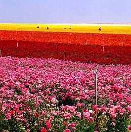 说明书还要买?任天堂为新机推出《Switch2秘密展》